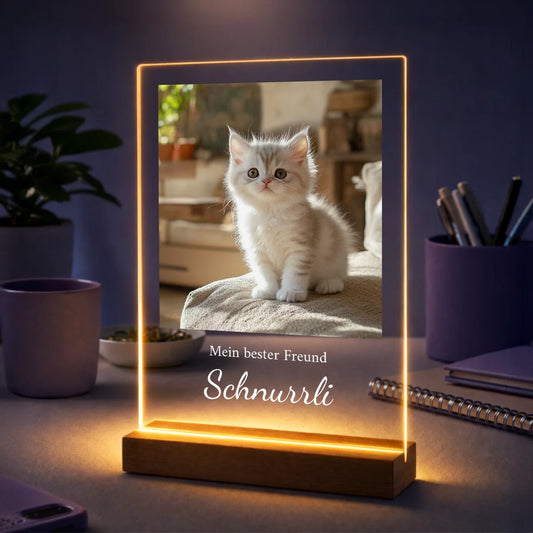 Geschenk für Katzenliebhaber zum Geburtstag – personalisiertes Foto auf Glas Katze