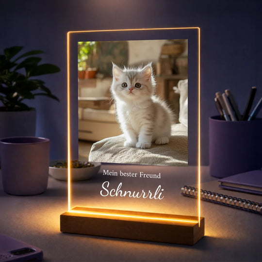 Geschenk für Katzenliebhaber zum Geburtstag – personalisiertes Foto auf Glas Katze