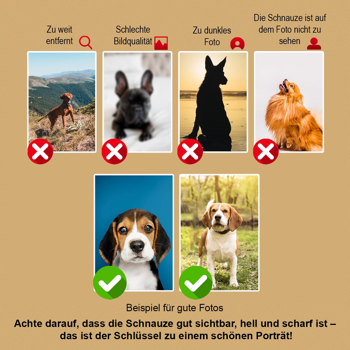 Image of Hunde­porträt mit grünem Hintergrund – Leinwandbild aus deinem Foto